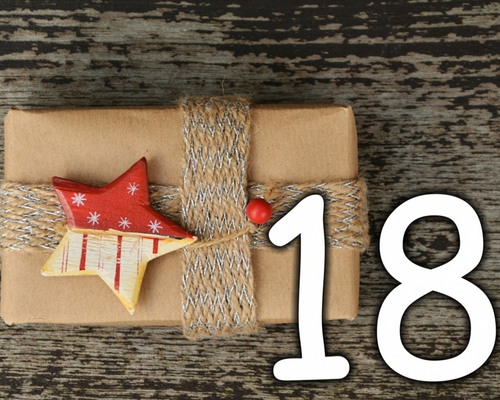 WLV Adventskalender Tag 18: WLV Kongress Wettkampf & Leistung