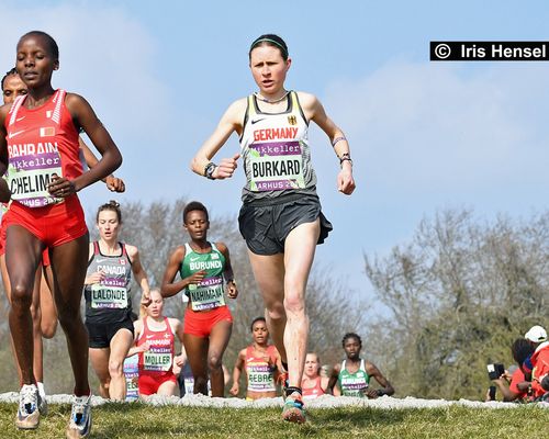 Cross-Weltmeisterschaften am 30. März 2019 in Aarhus / DEN